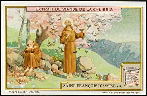 Encounters: ST FRANCIS AND BIRDS