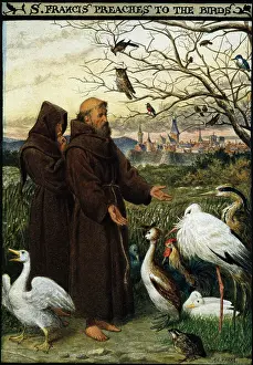 Preaches: St Francis Preaches to the Birds
