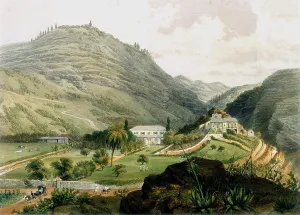 Stack: St Helena showing The Briars'. Lithograph after