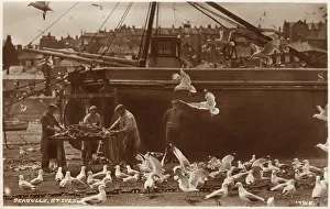 Pickings: St. Ives, Cornwall, gutting the catch