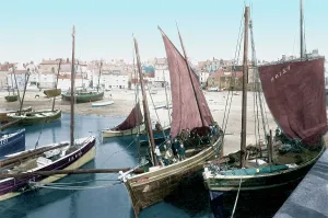 Pilchard: St Ives, Pilchard Boats 1908
