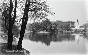 Shimmering: St. James's Park and Buckingham Palace
