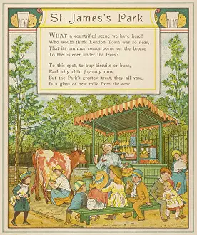 Imagine: St James's Park - Cow's Milk