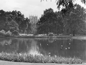 Treetops: ST. JAMES'S PARK LAKE