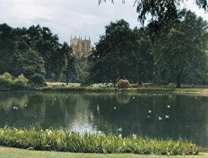 Treetops: ST. JAMES'S PARK LAKE