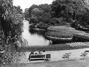 Roar: ST. JAMES'S PARK LONDON