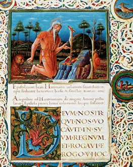 Jerome: St. Jerome Penitent. Miniature