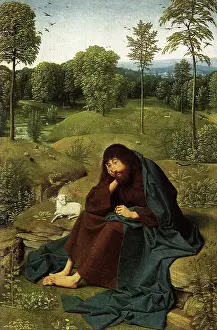 Jans: St. John the Baptist