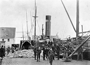 Sealer: St. Johns, Newfoundland, Canada - Sealer unloading catch
