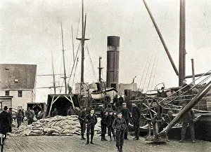 Sealer: St. Johns, Newfoundland, Canada - Sealer unloading catch