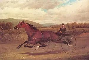 Striding: St Julien