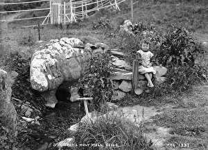 Meath: St. Kieran's Holy Well, Kells