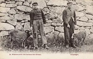 Kilda: St Kildans with Soay Sheep