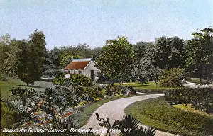 Nevis: St. Kitts, West Indies - Botanic Station, Basseterre