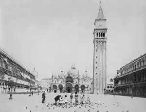 Campanile: St. Mark's Square in Venice