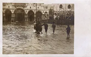 Waders: St. Mark's Square, Venice, Italy - Flooded