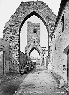 Derelict: St. Mary's Abbey, Drogheda