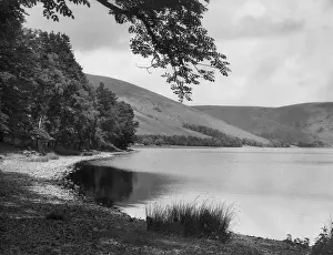 Lochs: ST. MARY'S LOCH