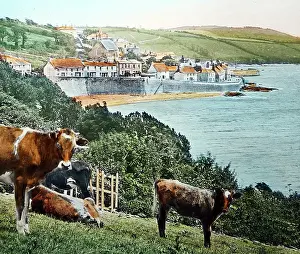 Mawes: St Mawes, Cornwall, Victorian period