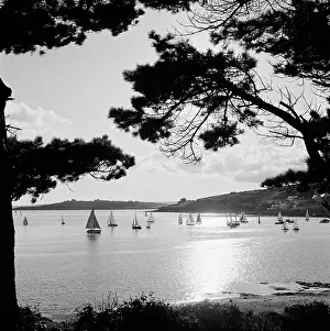 Pendennis: St Mawes Harbour, Cornwall
