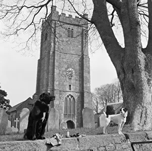 Buttresses: St Michaels Church