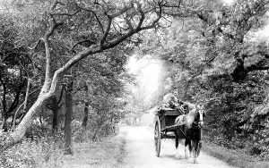 Neots: St Neots, Mill Lane 1897
