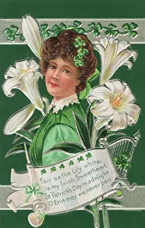 Shamrocks: St. Patrick's Day Postcard