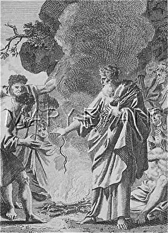 Chapters: St Paul and the viper
