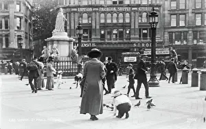 Interacting: St. Paul's Pigeons