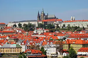 Vitus: St. Vitus Cathedral, Prague