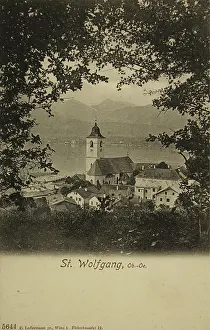 Ledermann: St. Wolfgang at Lake Wolfgang. View from the