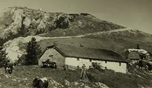 Schafberg: St. Wolfgang. Schafbergalm with Schafberg summit