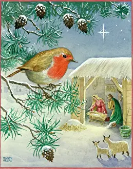 Racey: The Stable - Nativity scene with robin