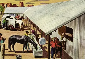 Corrugated: Stable Scene