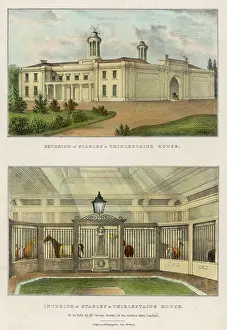 Thoroughbreds: STABLES AT THIRLESTAINE