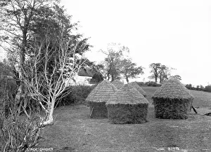 Stacks: Stack Garden