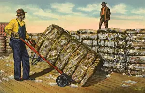 Bales: Stacking Cotton Bales