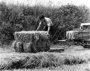 Farmhand: STACKING HAY BALES