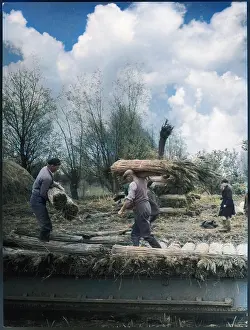 Thatching: STACKING REED FOR THATCH