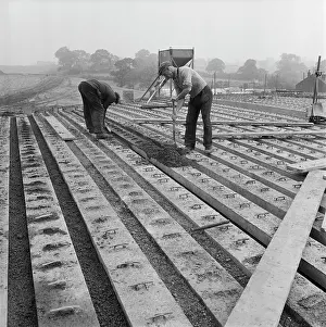 Infill: Staffordshire