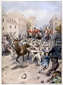 Senlis: STAG HUNT AT SENLIS