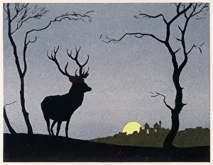 Morrow: STAG SILHOUETTED