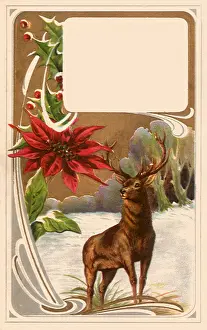 Poinsettias: Stag in Wilderness