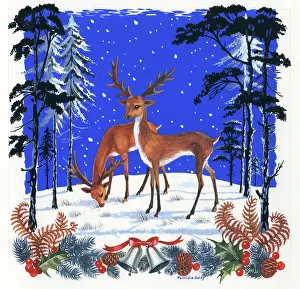 Cones: Two stags in the snow