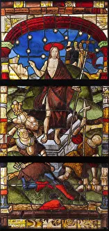 Grisaille: Stained glass, Cite du Vitrail, Hotel-Dieu-Le-Comte, Troyes
