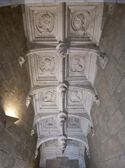 Banisters: Staircase ceiling, Chateau d'Azay-le-Rideau