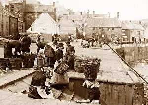 Staithes: Staithes