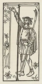 Husbandman: STAKING PLANTS, C15