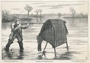 Wildfowl: STALKING HORSE USED