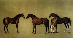 1762: Three Stallions, Groom, by Stubbs